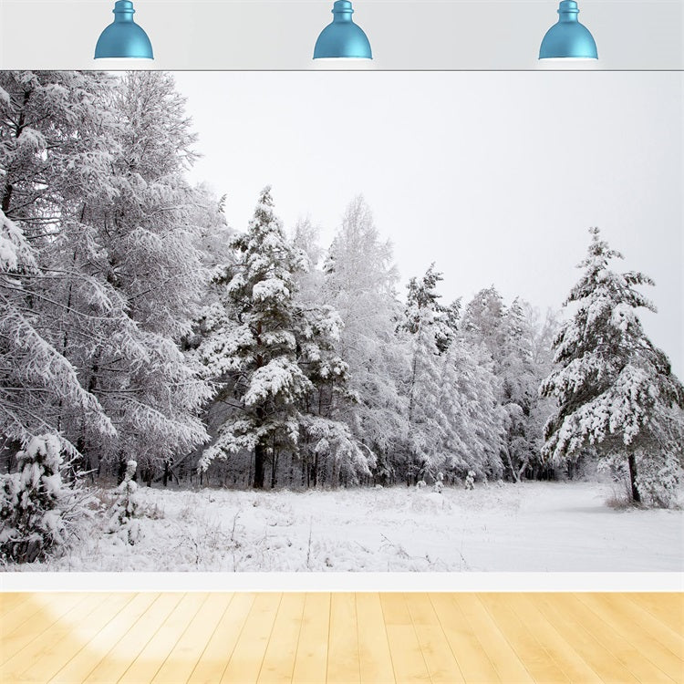 Winter Backdrops Snowy Landscape Icy Branches Backdrop UK BRP11-4