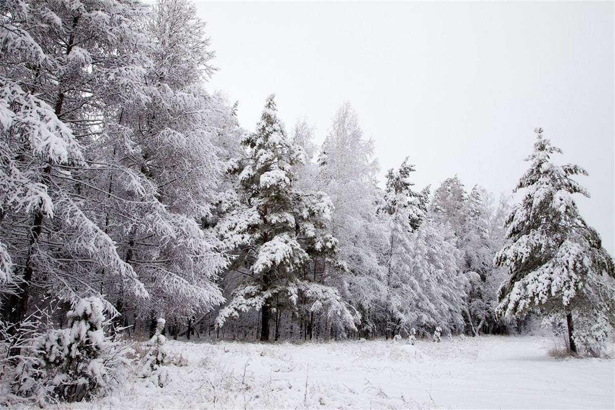 Winter Backdrops Snowy Landscape Icy Branches Backdrop UK BRP11-4