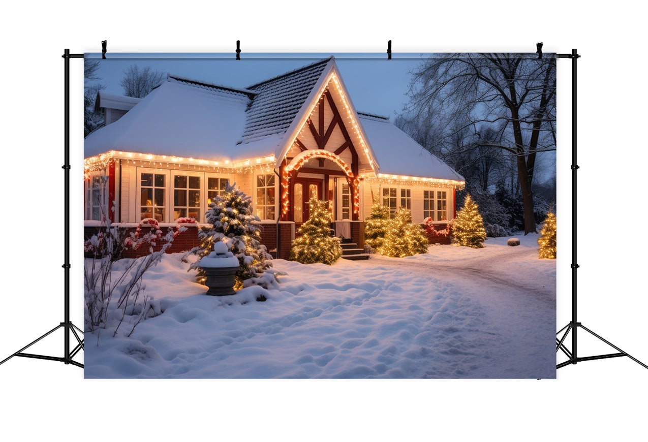 Winter Snow Backdrop Cottage Twinkling Lights Backdrop UK BRP11-43