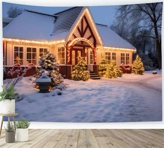 Winter Snow Backdrop Cottage Twinkling Lights Backdrop UK BRP11-43