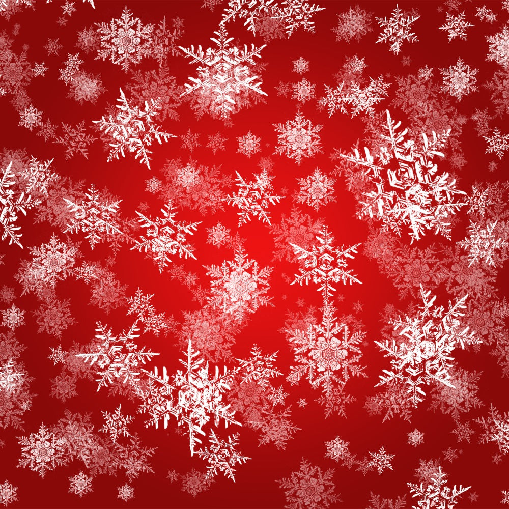 Winter Backdrop Ideas Snowflakes Red Magic Photography Backdrop UK BRP11-457