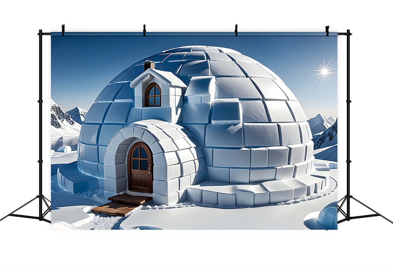 Winter Serene Backdrop Snowy Igloo Bright Sky Backdrop UK BRP11-47