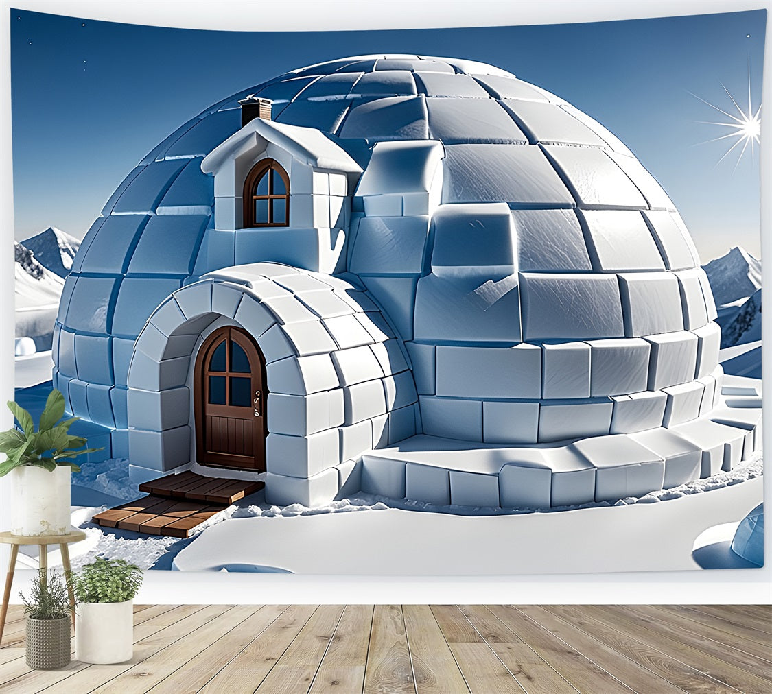 Winter Serene Backdrop Snowy Igloo Bright Sky Backdrop UK BRP11-47