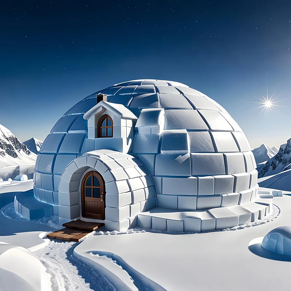 Winter Serene Backdrop Snowy Igloo Bright Sky Backdrop UK BRP11-47