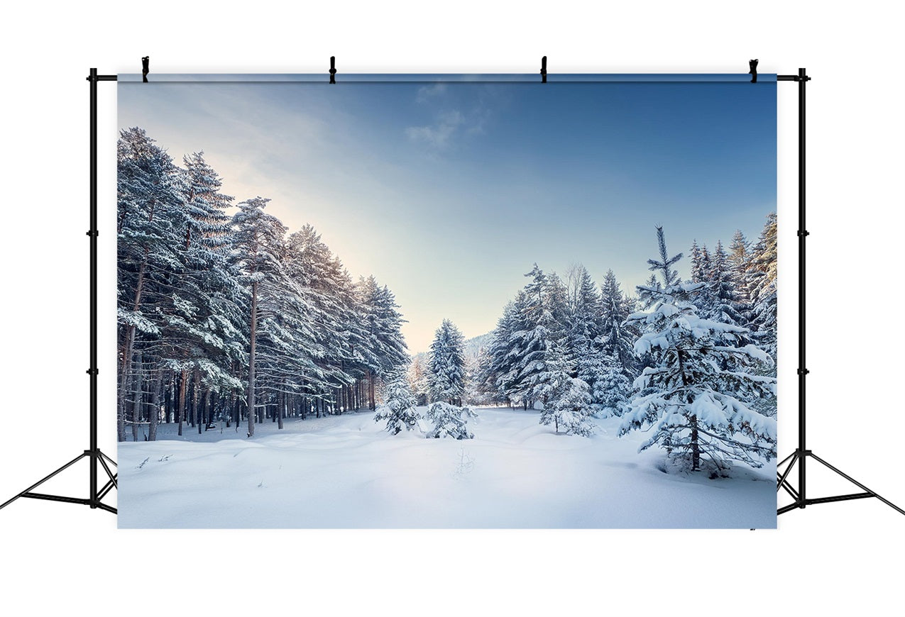 Winter Woods Backdrop Serene Pine Landscape Backdrop UK BRP11-490