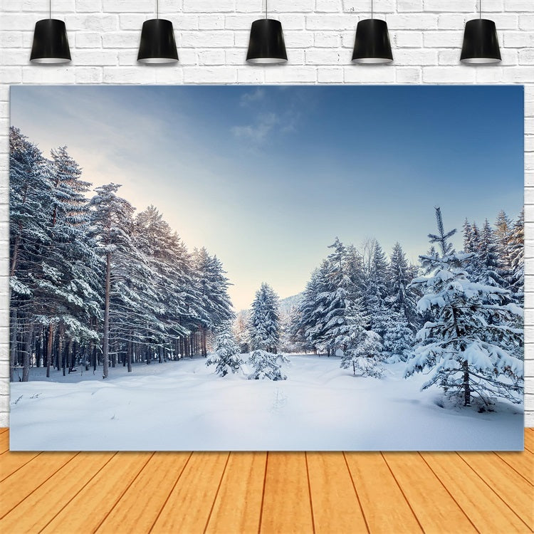 Winter Woods Backdrop Serene Pine Landscape Backdrop UK BRP11-490