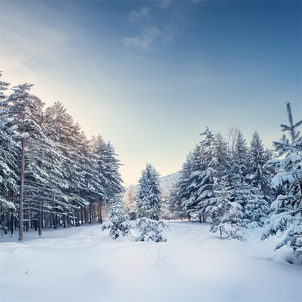 Winter Woods Backdrop Serene Pine Landscape Backdrop UK BRP11-490