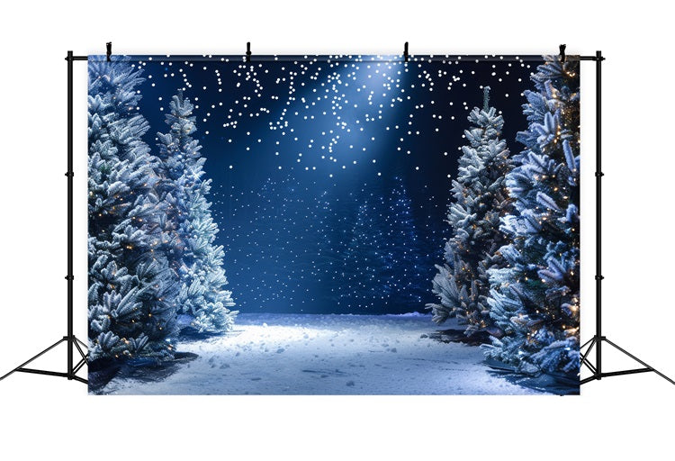 Backdrop Winter Wonderland Snowy Night Photography Backdrop UK BRP11-491