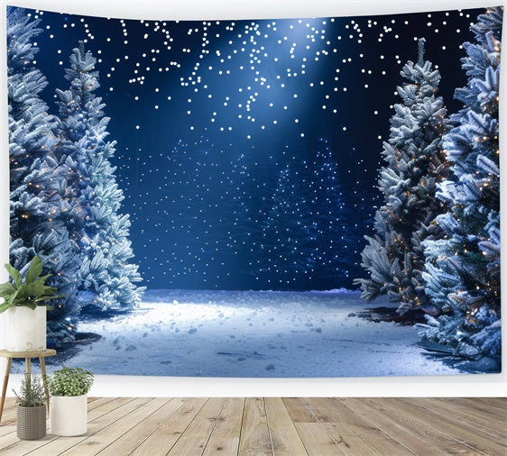 Backdrop Winter Wonderland Snowy Night Photography Backdrop UK BRP11-491