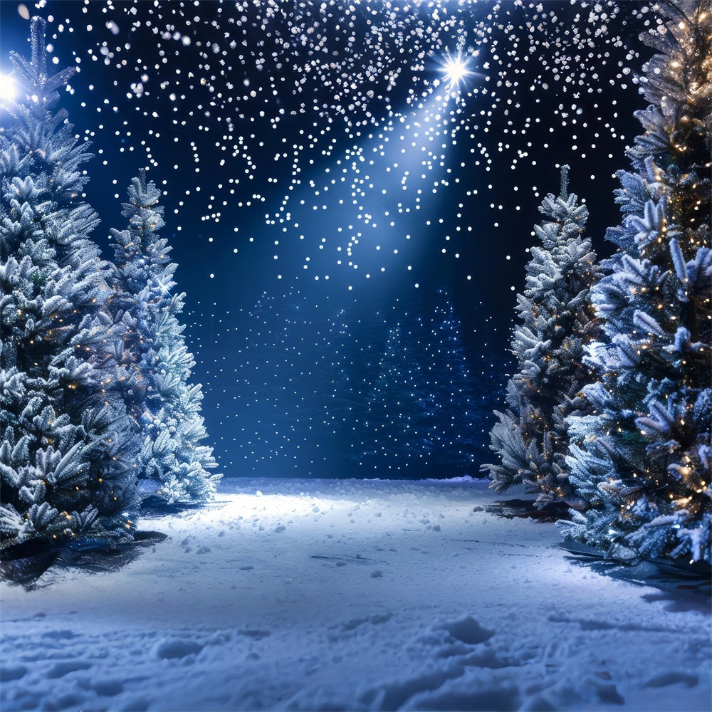 Backdrop Winter Wonderland Snowy Night Photography Backdrop UK BRP11-491