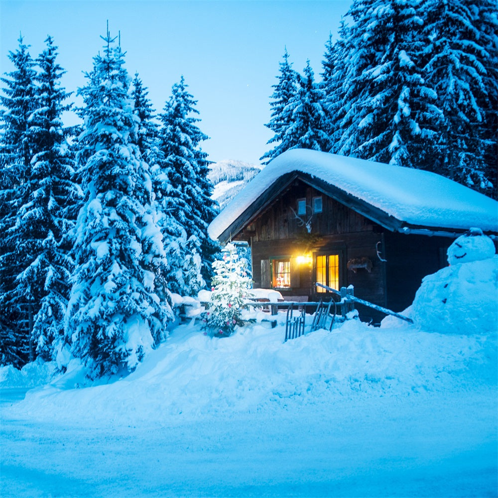 Winter Scene Backdrops Cabin Snowy Pine Forest Backdrop UK BRP11-494