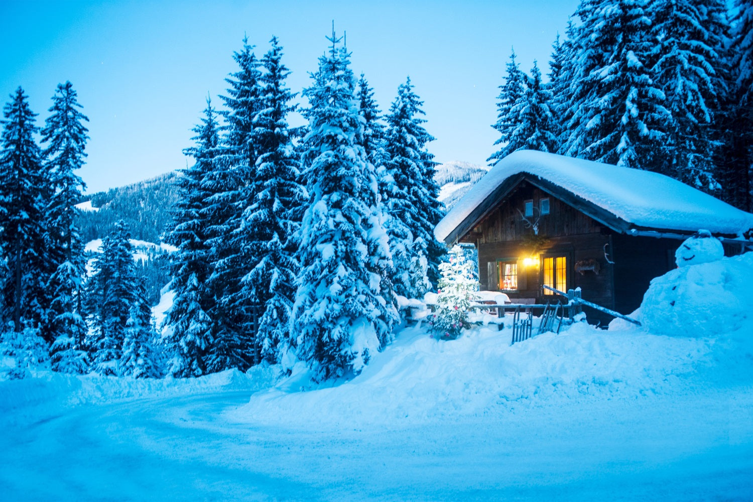 Winter Scene Backdrops Cabin Snowy Pine Forest Backdrop UK BRP11-494