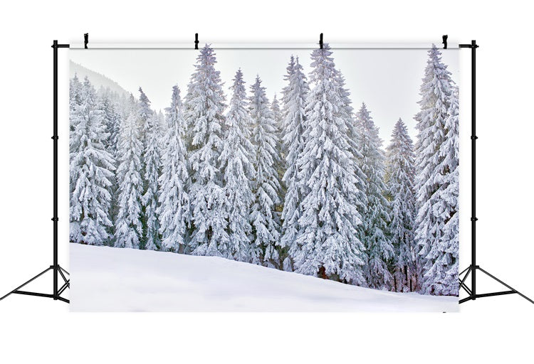 Winter Wonderland Photo Backdrop Snow-Covered Backdrop UK BRP11-5