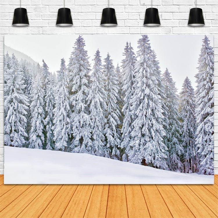 Winter Wonderland Photo Backdrop Snow-Covered Backdrop UK BRP11-5