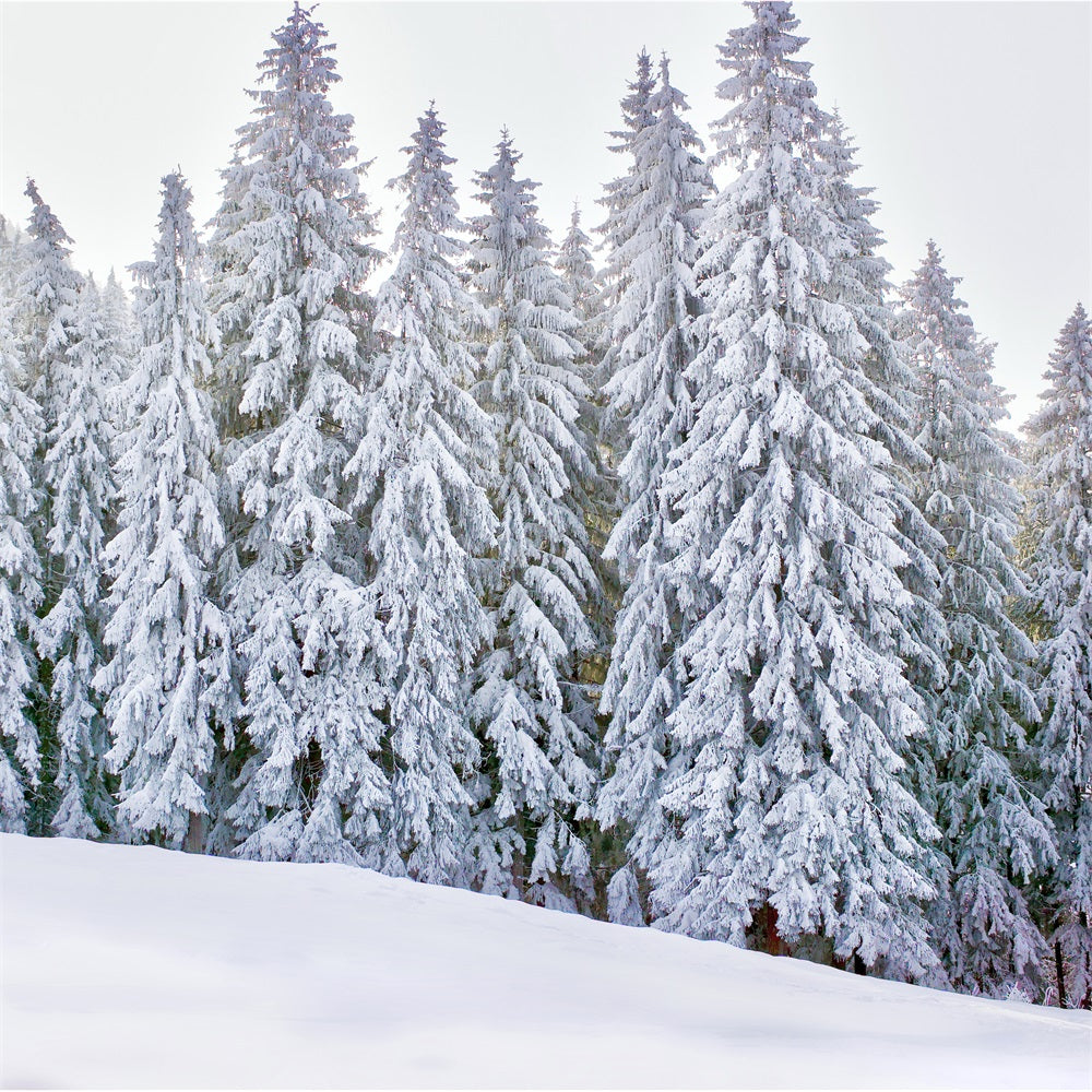 Winter Wonderland Photo Backdrop Snow-Covered Backdrop UK BRP11-5