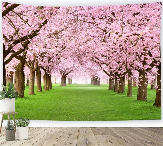 Photography Spring Backdrops Cherry Blossom Pathway Scenic UK Backdrop BRP11-514