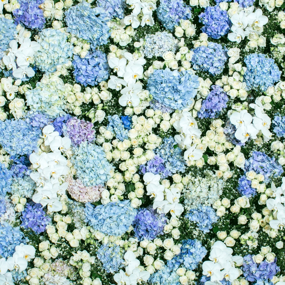 Spring Photography Backdrops Blue White Floral Wall Backdrop UK BRP11-518