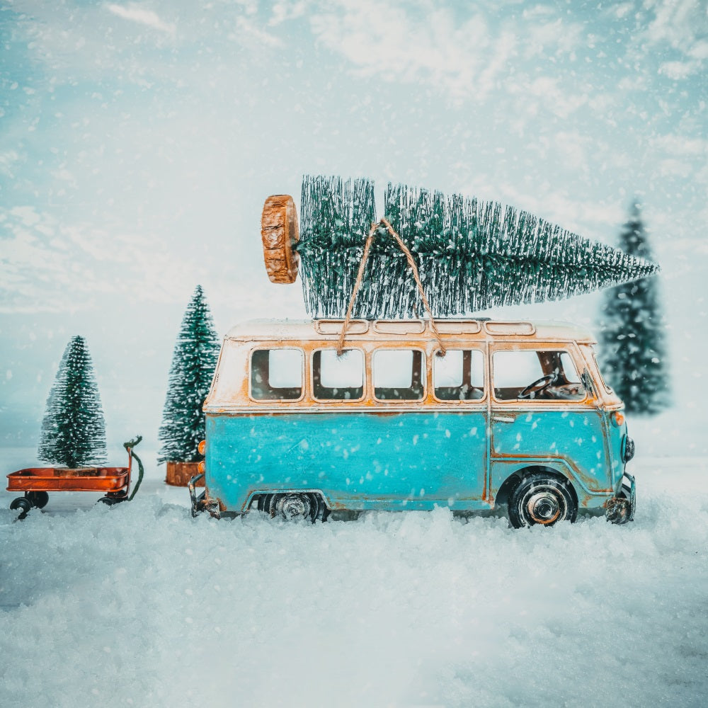 Winter Backdrop Photography Vintage Van Snowy Path Backdrop UK BRP11-55