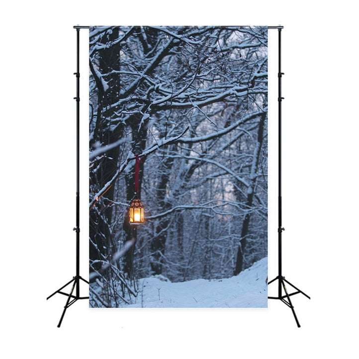 Winter Backdrops Photography Glowing Lantern Backdrop UK BRP11-64