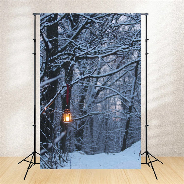 Winter Backdrops Photography Glowing Lantern Backdrop UK BRP11-64