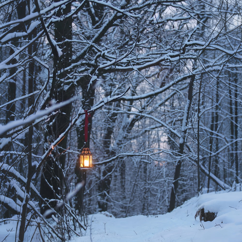 Winter Backdrops Photography Glowing Lantern Backdrop UK BRP11-64