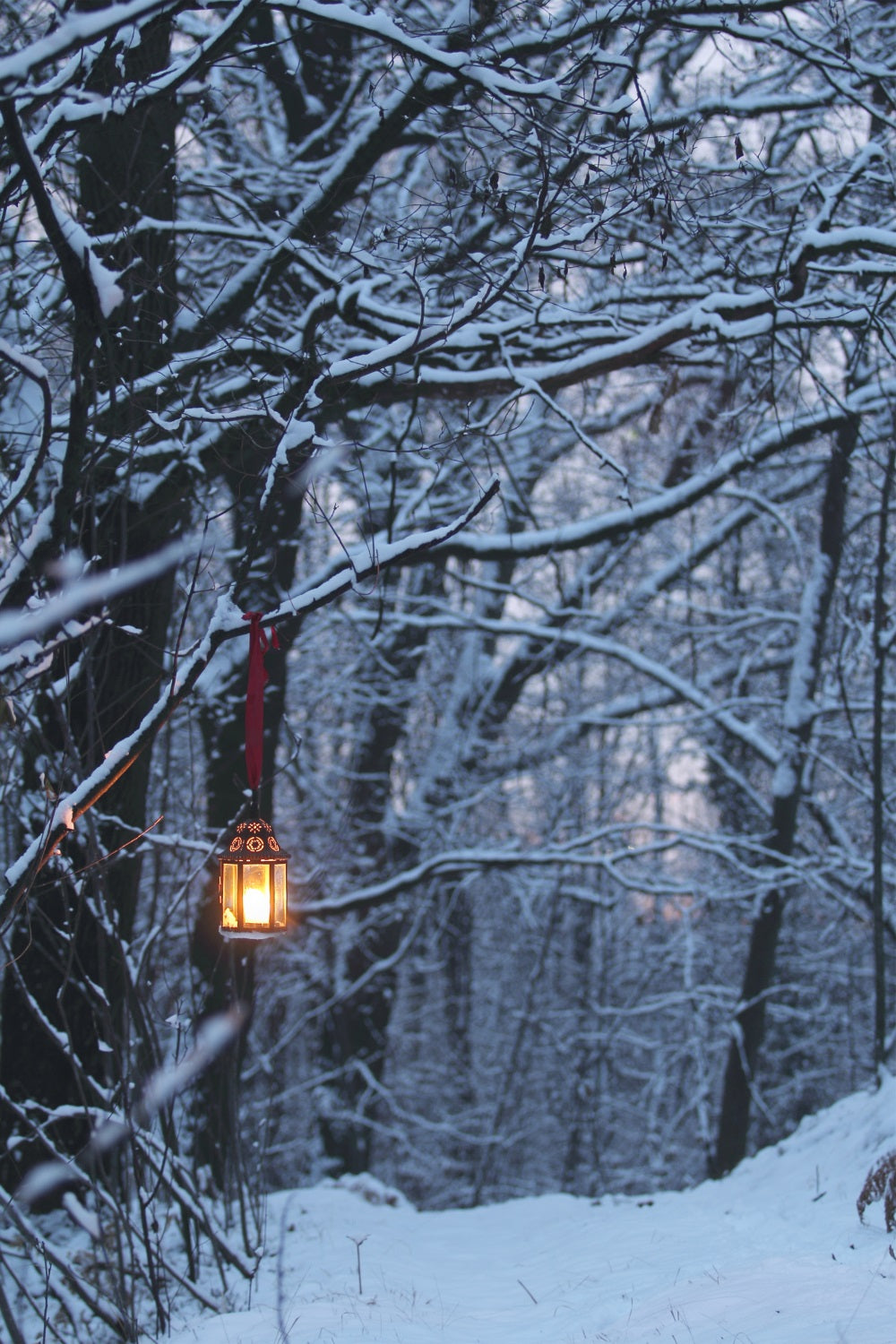 Winter Backdrops Photography Glowing Lantern Backdrop UK BRP11-64