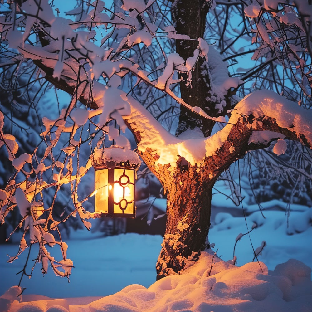 Winter Backdrops Snowy Tree Glowing Lantern Backdrop UK BRP11-65