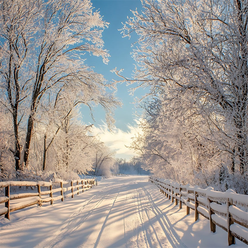 Winter Photo Backdrop Enchanted Landscape Snowy Path Backdrop UK BRP11-67