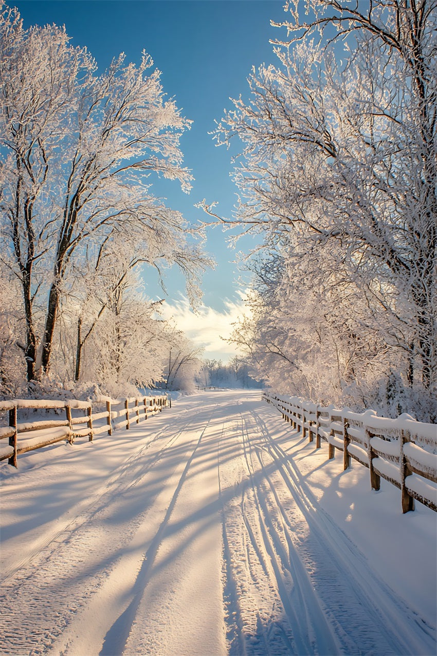 Winter Photo Backdrop Enchanted Landscape Snowy Path Backdrop UK BRP11-67