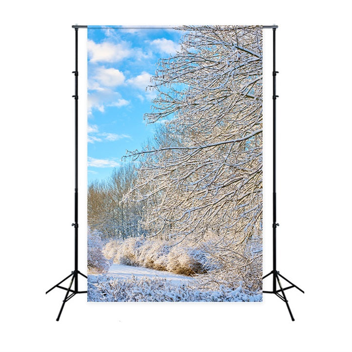 Winter Backdrop Frosty Branches Bright Sky Backdrop UK BRP11-68