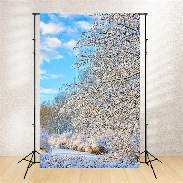 Winter Backdrop Frosty Branches Bright Sky Backdrop UK BRP11-68