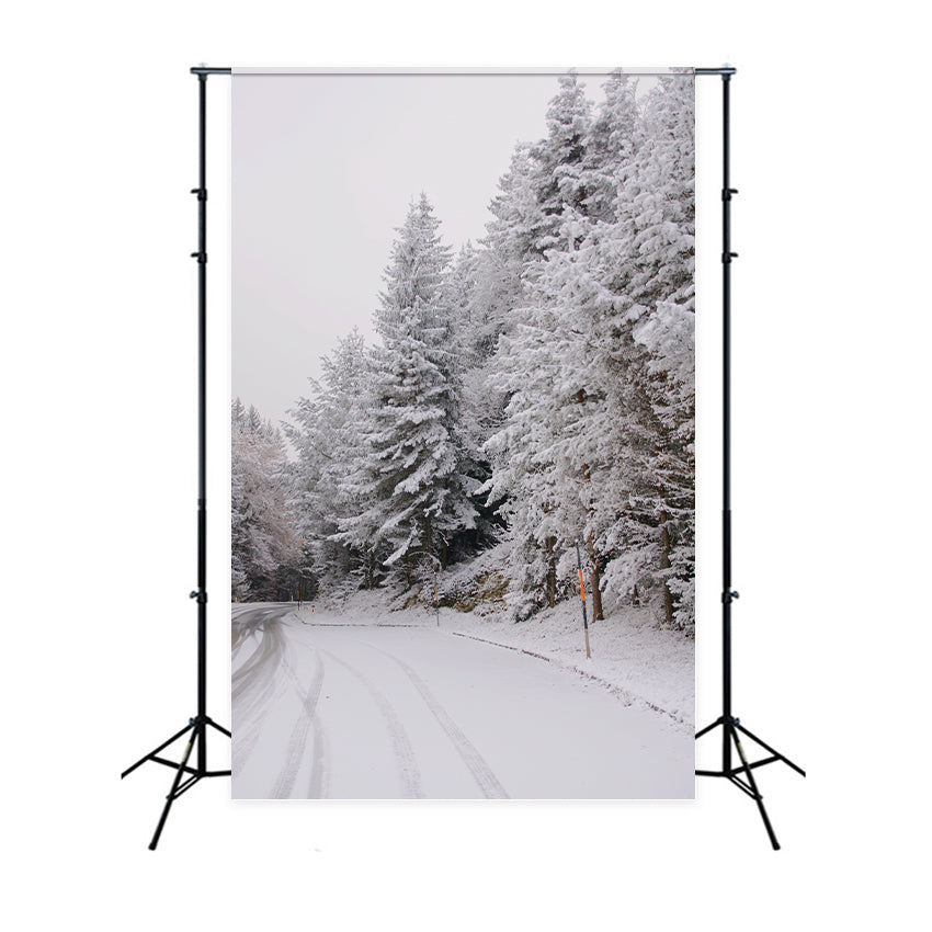 Winter Wonderland Backdrops Pathway Snow-Capped Pines Backdrop UK BRP11-69