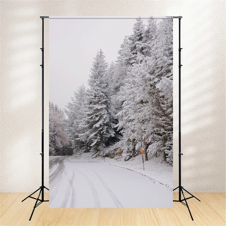 Winter Wonderland Backdrops Pathway Snow-Capped Pines Backdrop UK BRP11-69