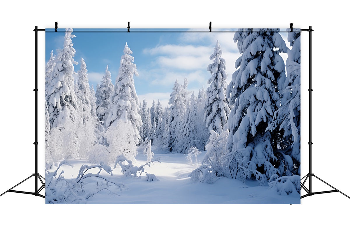 Winter Scene Backdrop Frosted Pines Blue Sky Backdrop UK BRP11-7