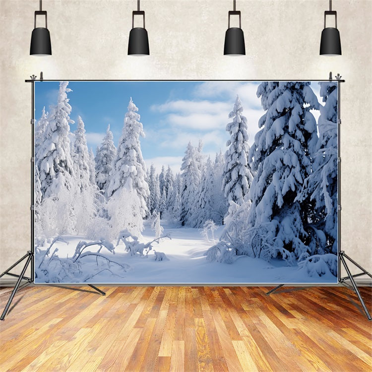 Winter Scene Backdrop Frosted Pines Blue Sky Backdrop UK BRP11-7