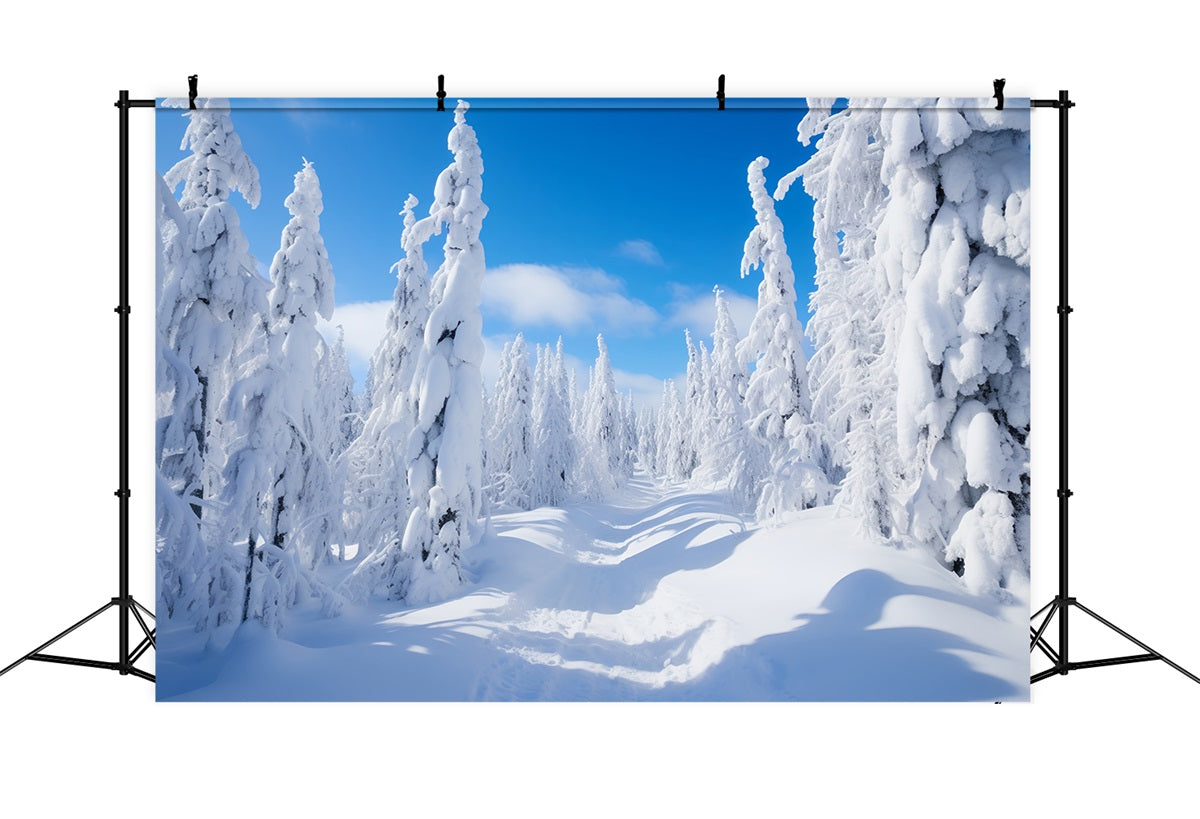 Winter Photography Backdrops Pine Trees Bright Sky Backdrop UK BRP11-8