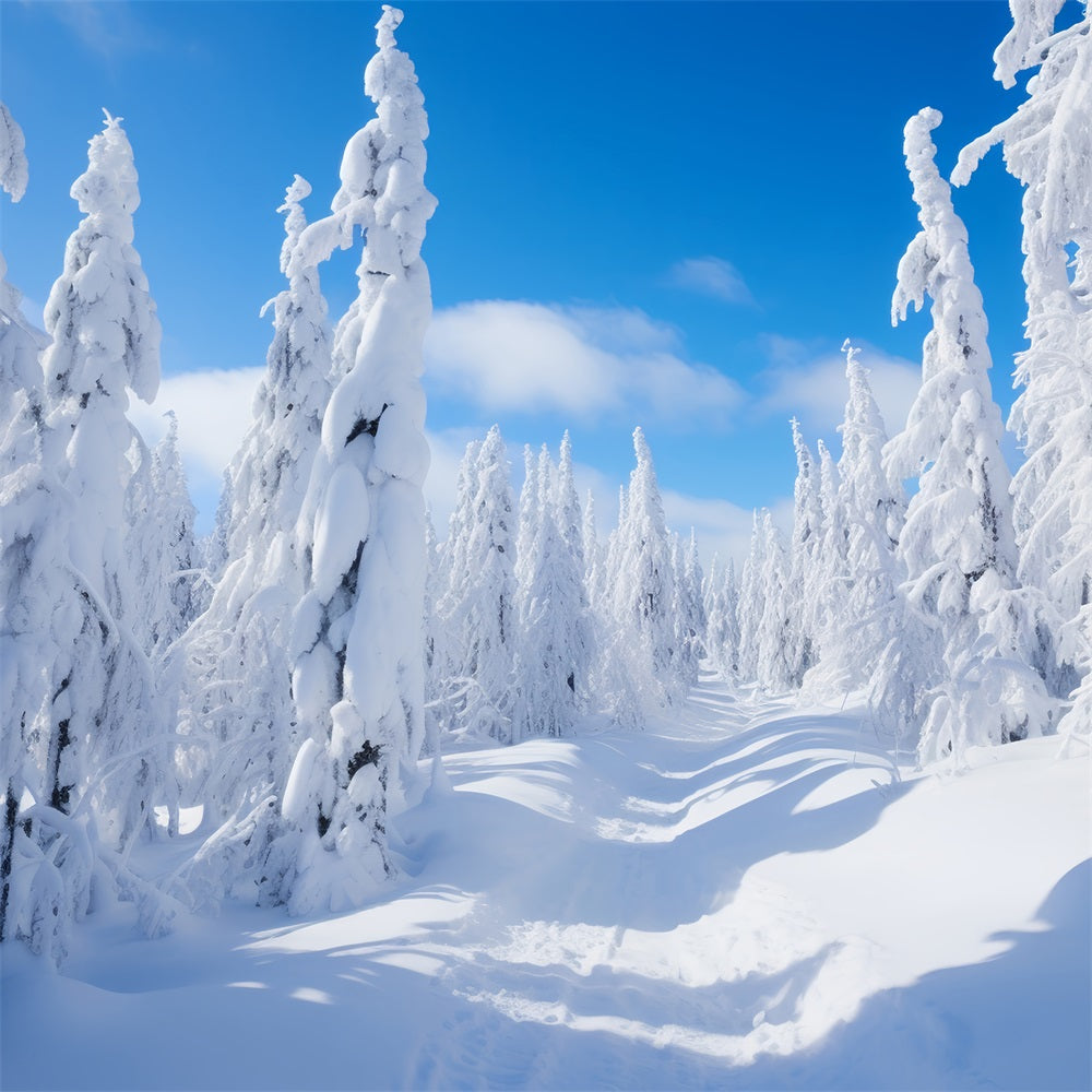 Winter Photography Backdrops Pine Trees Bright Sky Backdrop UK BRP11-8