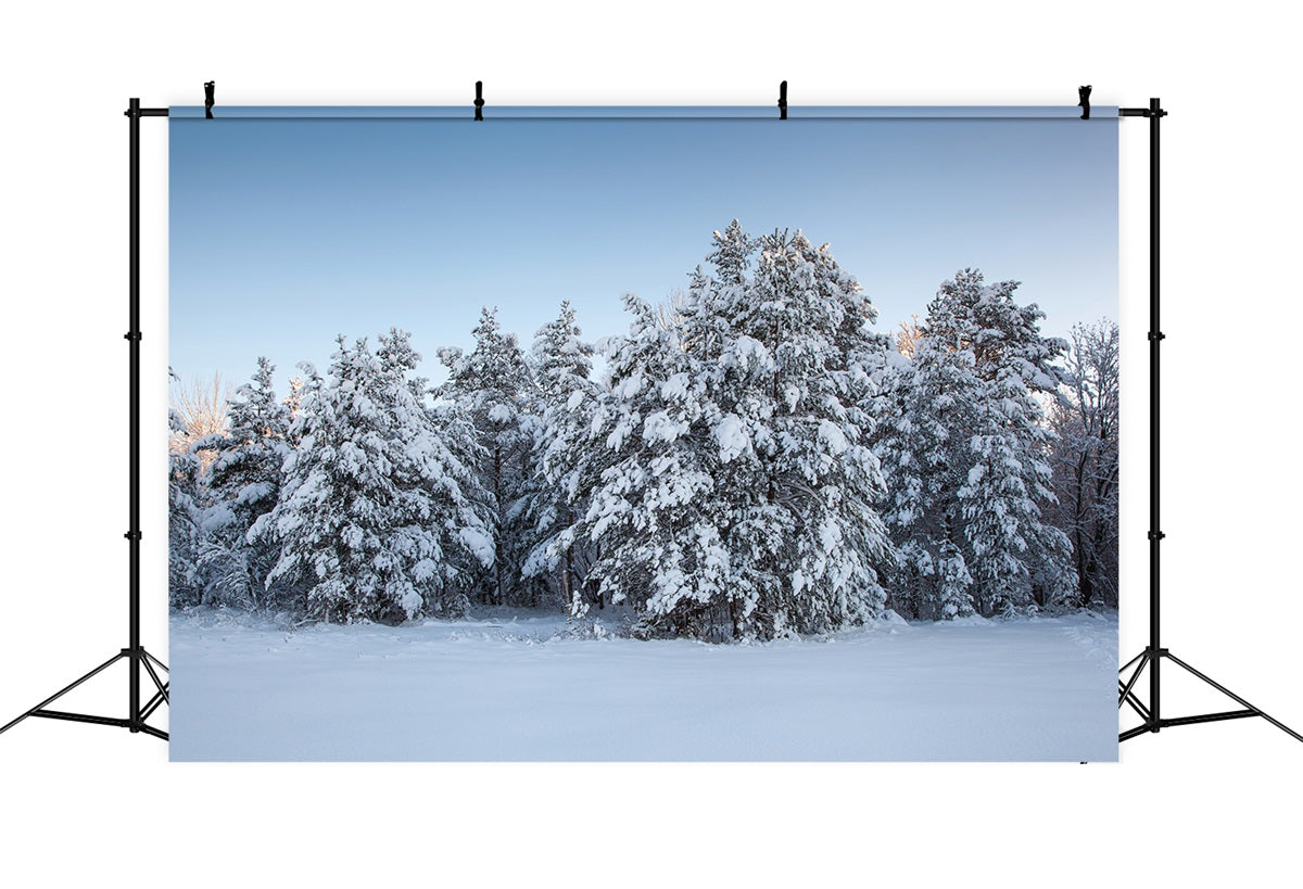 Winter Photo Backdrops Evergreen Trees Snow Backdrop UK BRP11-9