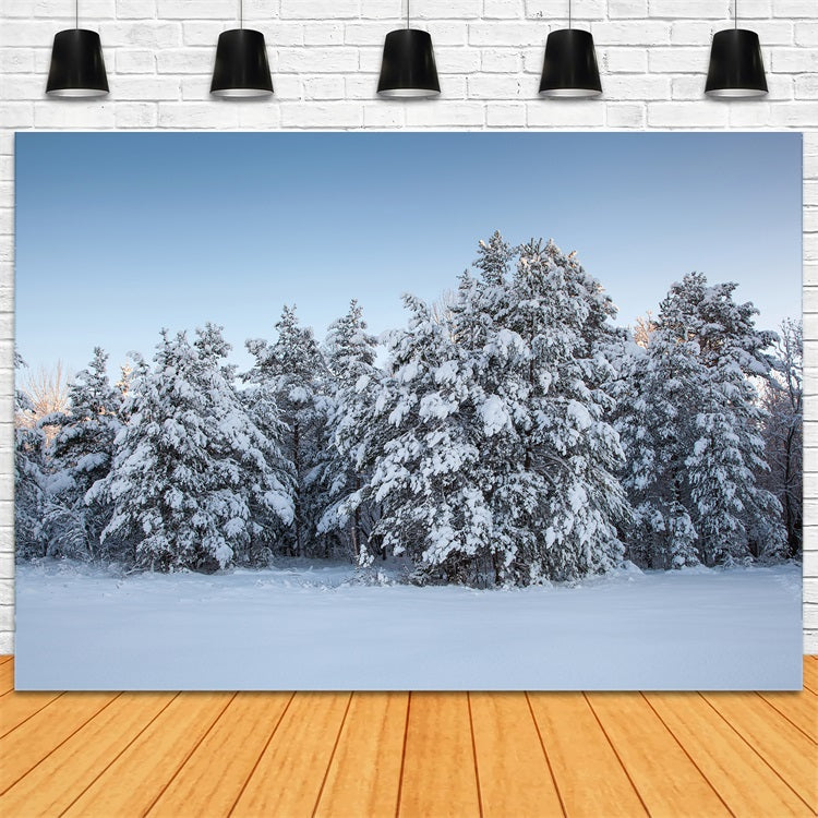 Winter Photo Backdrops Evergreen Trees Snow Backdrop UK BRP11-9