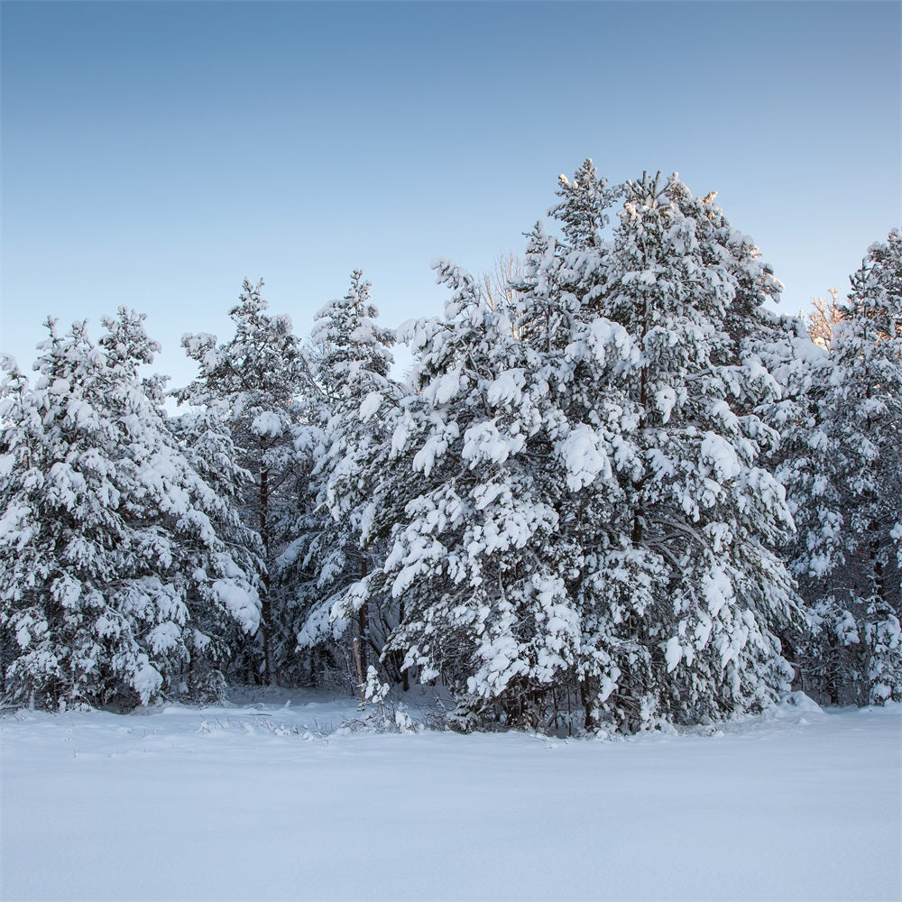 Winter Photo Backdrops Evergreen Trees Snow Backdrop UK BRP11-9