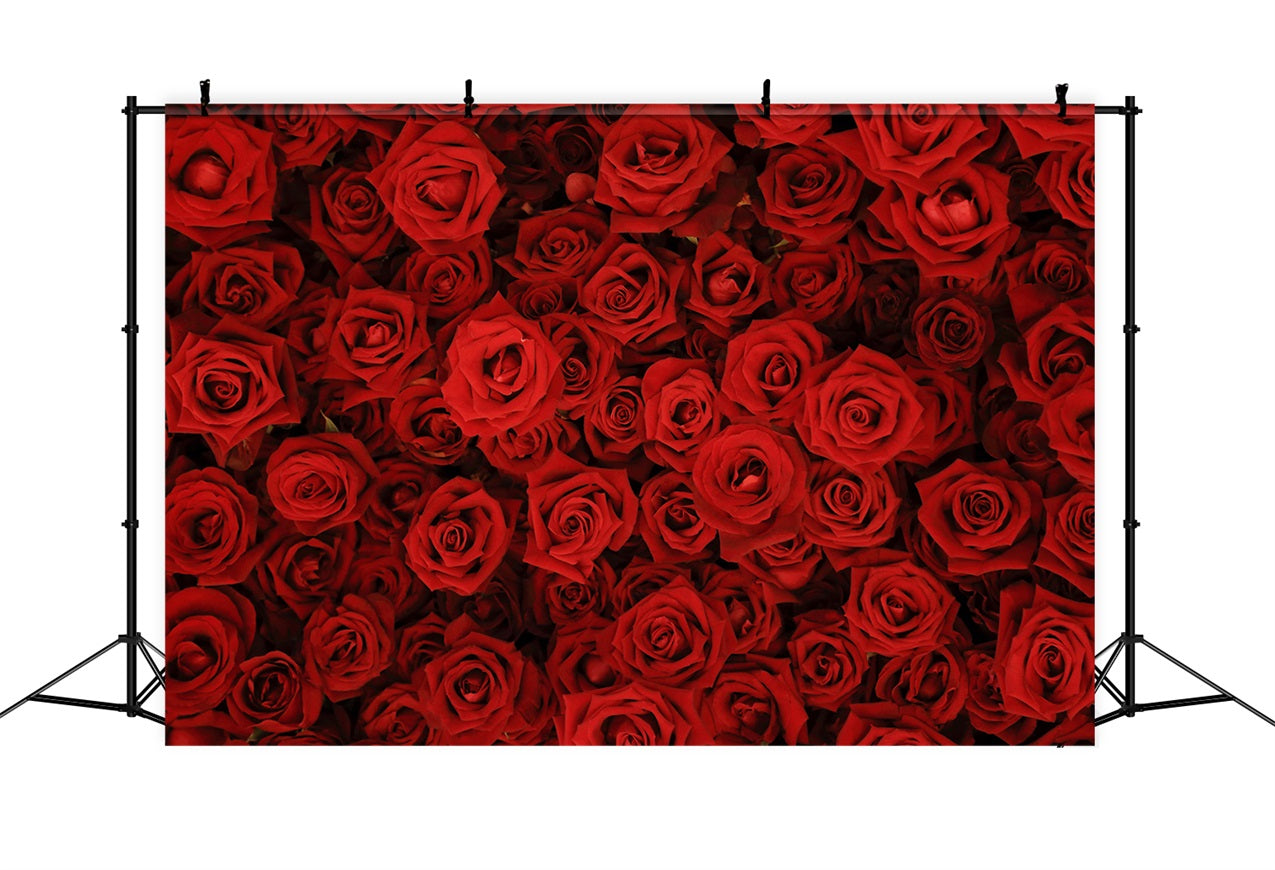 Backdrop Weddings Red Rose Floral Wall Backdrop UK BRP12-384