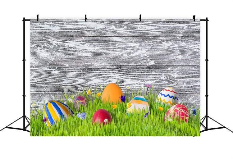 Easter Photo Backdrop Ideas Meadow Colorful Eggs Backdrop UK BRP12-424