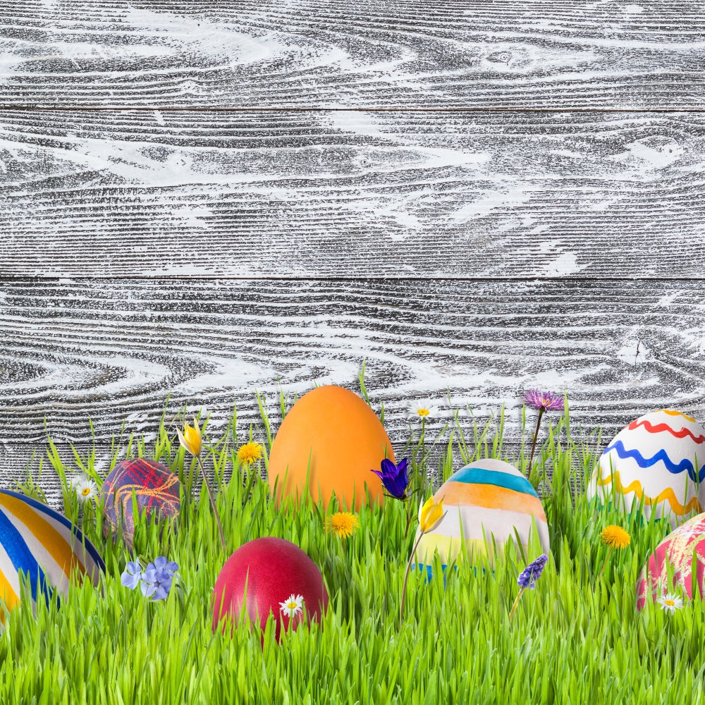 Easter Photo Backdrop Ideas Meadow Colorful Eggs Backdrop UK BRP12-424