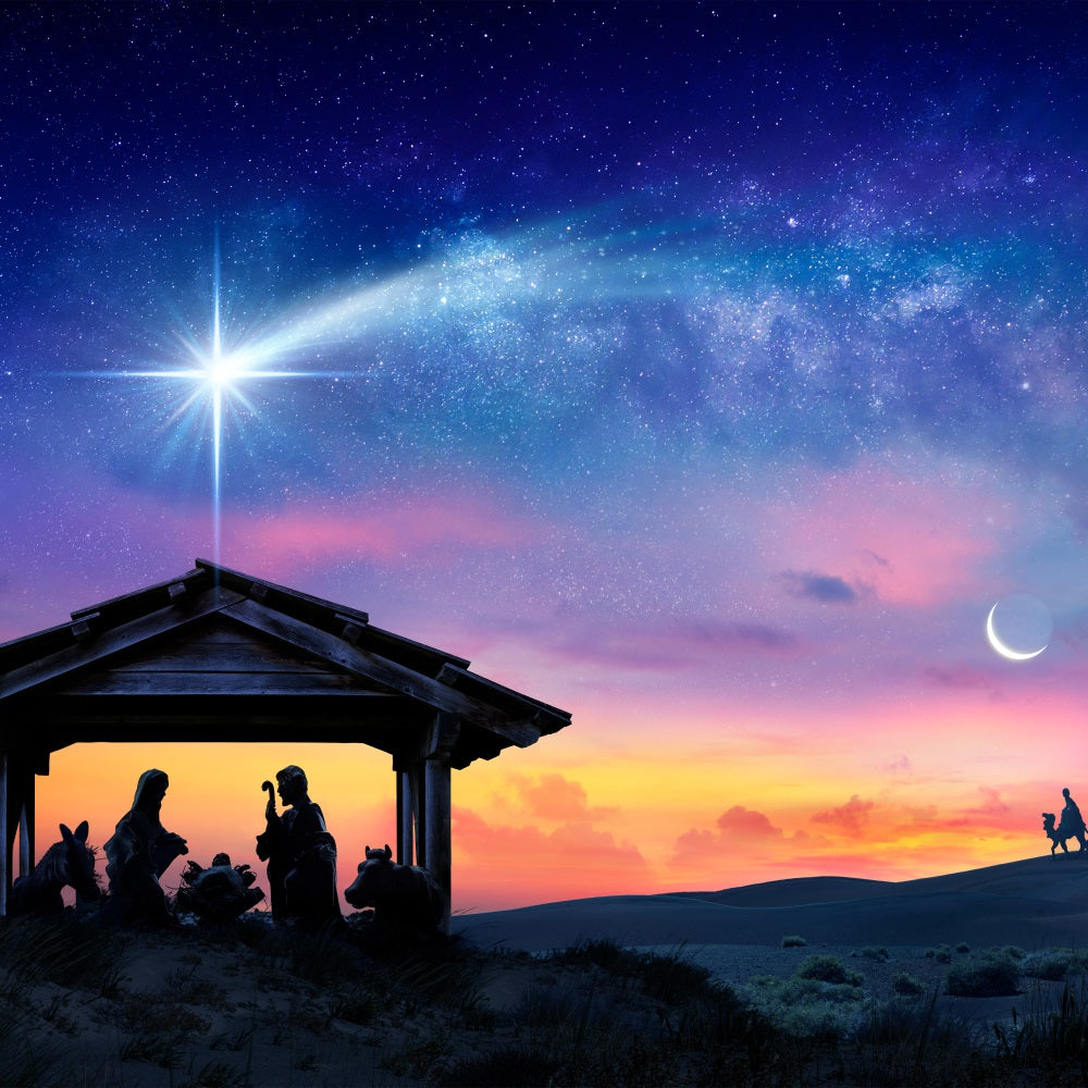 Nativity Photo Backdrop Sunset Manger Star Bethlehem Backdrop UK BRP12-441