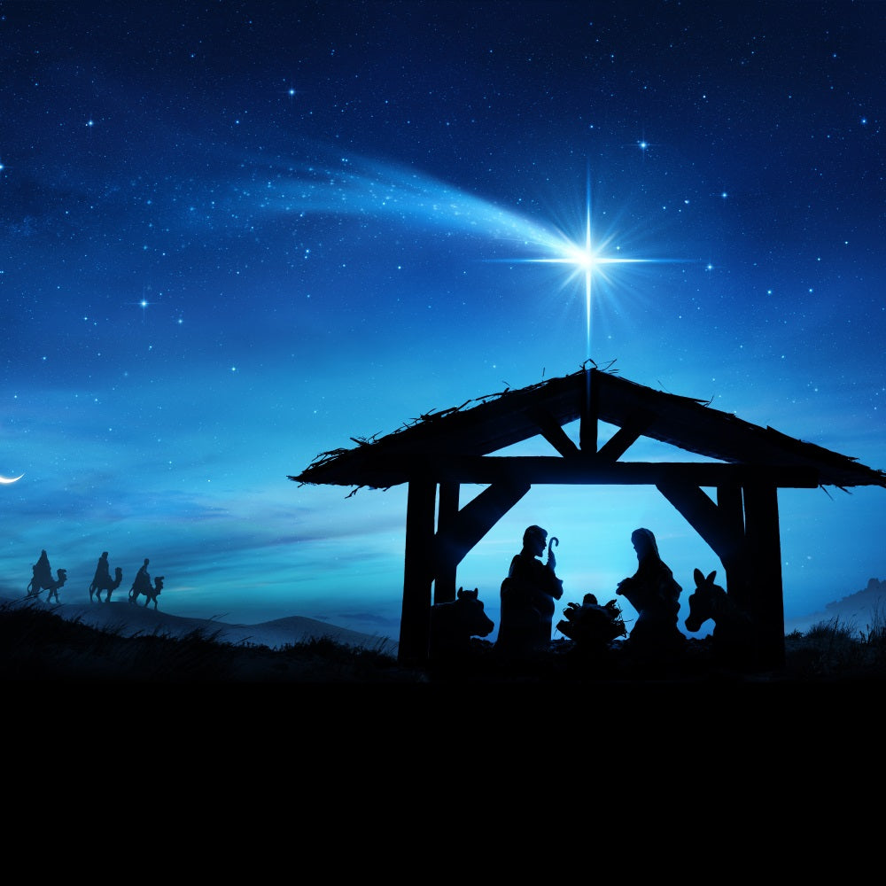 Nativity Sky Backdrop Holy Scene Manger Starry Backdrop UK BRP12-444