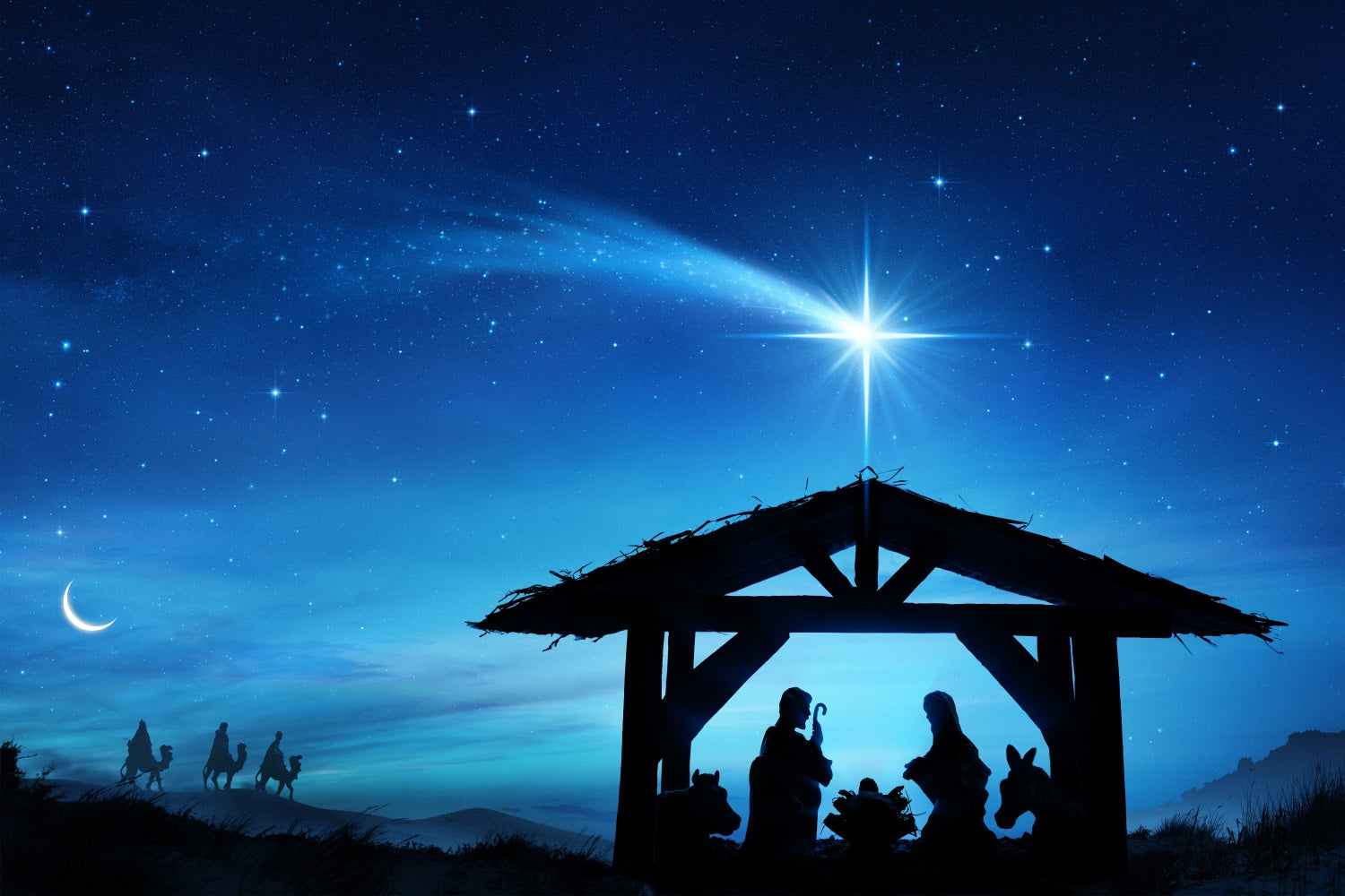 Nativity Sky Backdrop Holy Scene Manger Starry Backdrop UK BRP12-444