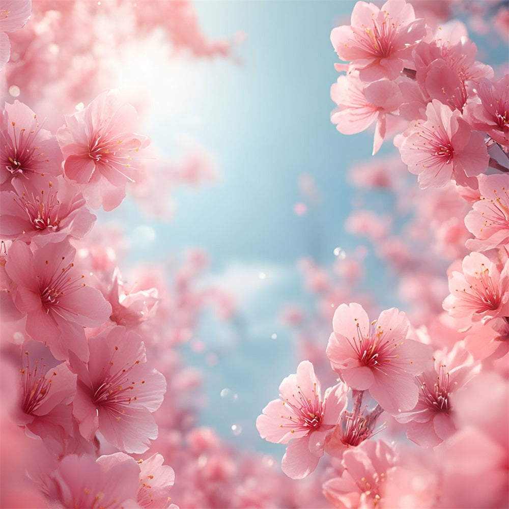 Photography Backdrops Spring Blush Pink Cherry Blossoms Backdrop UK BRP12-500