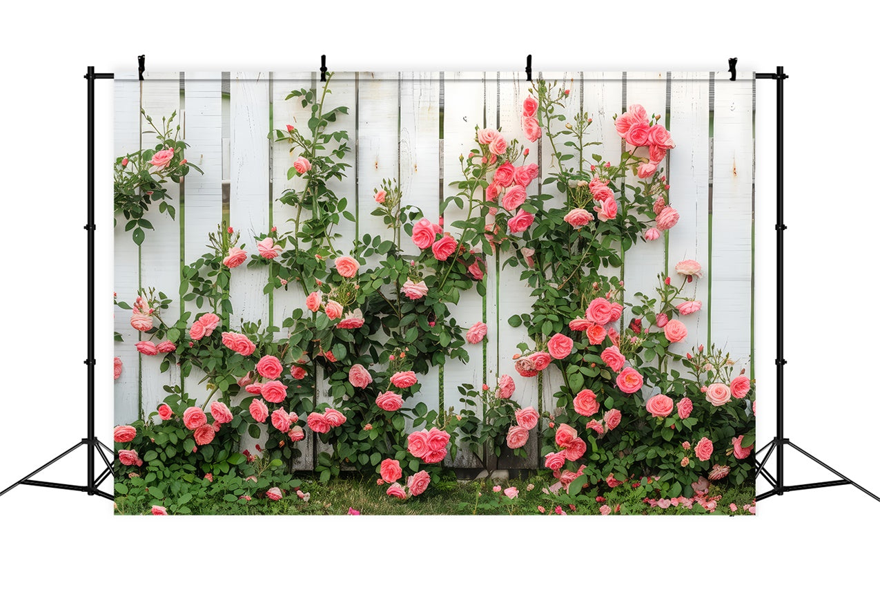 Floral Theme Backdrop White Wooden Fence Climbing Roses Backdrop UK BRP12-560