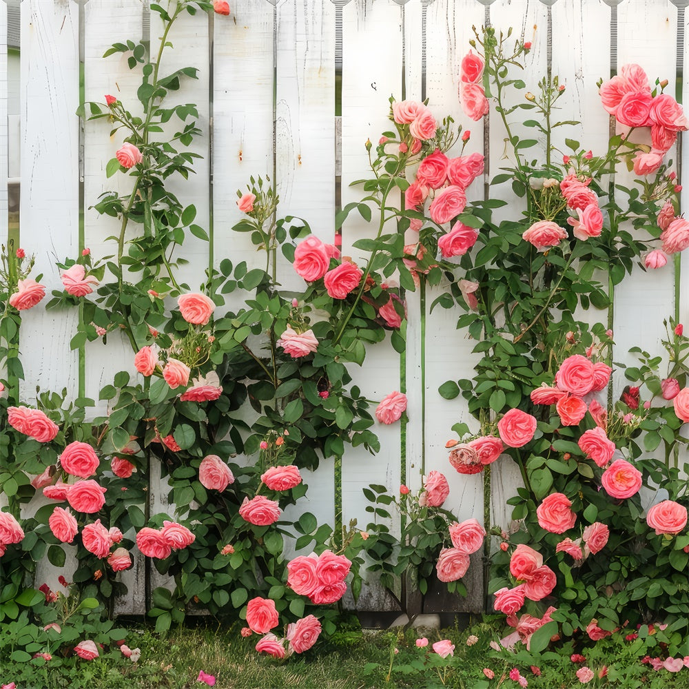 Floral Theme Backdrop White Wooden Fence Climbing Roses Backdrop UK BRP12-560