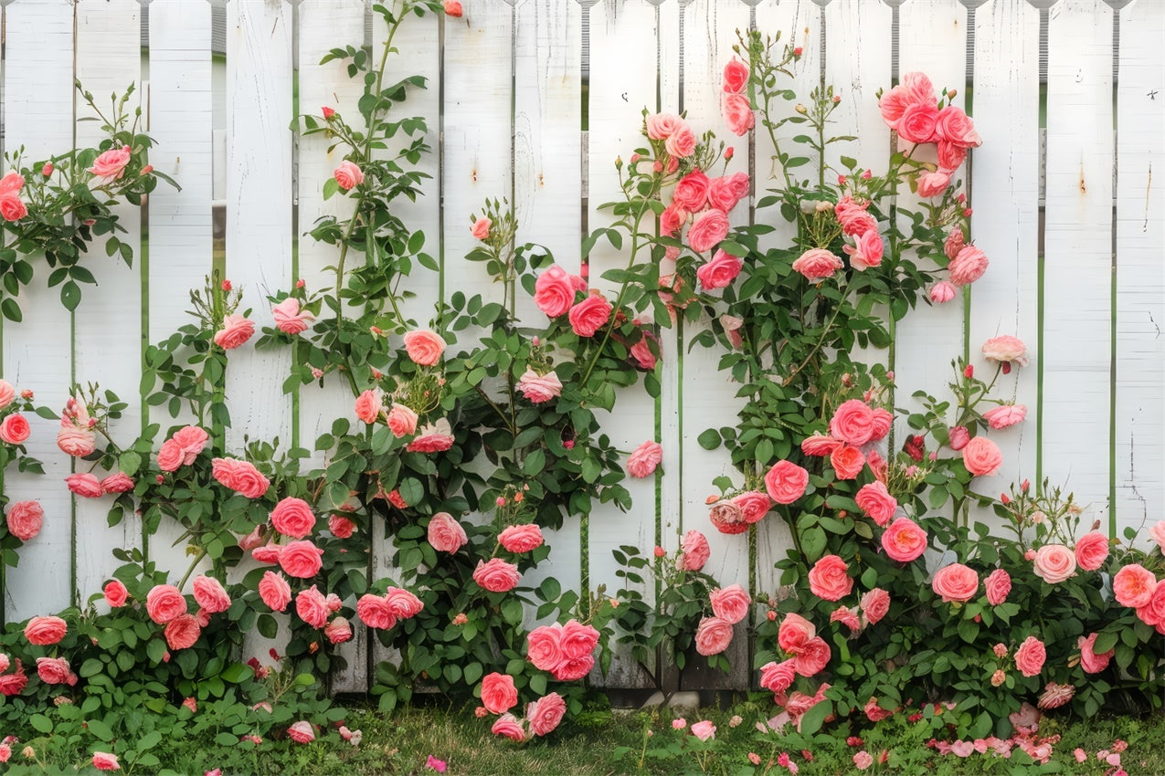 Floral Theme Backdrop White Wooden Fence Climbing Roses Backdrop UK BRP12-560